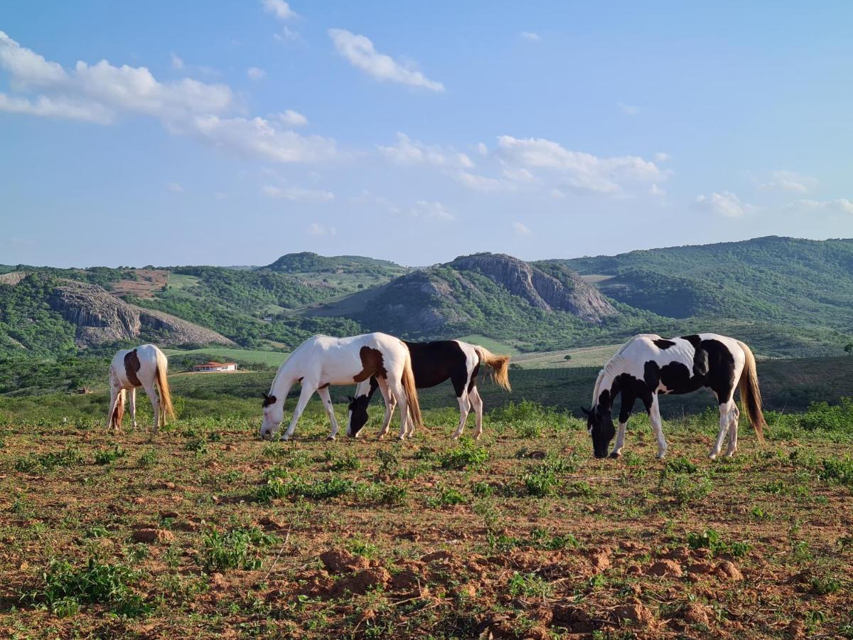 Отель Rancho Trevo Серра-ди-Сан-Бенту Экстерьер фото